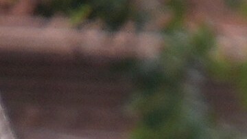 Graduados de Harvard se han manifestado contra Trump.