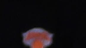 New York Knicks siguen con vida tras superar a Pacers en el Madison Square Garden