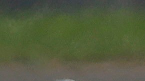 Dos pilotos fallecieron tras accidente en plena carrera del Campeonato Británico de Superbikes