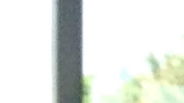 El operativo duró cinco días.