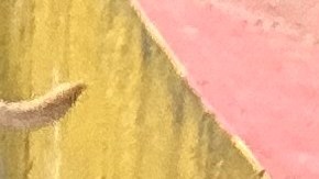 Migrantes como la venezolana Adriana Malavé, experta en marketing digital,  tiene claro que es "saludable" restringir el uso de la tecnología de su hijo de 10 años.