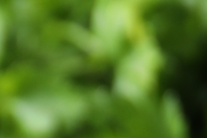 Las cebollas y los ajos tienen sustancias bioactivas que actúan como protección frente a la aparición del cáncer.