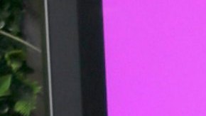 Aleska Génesis, exhabitante de La Casa de los Famosos All-Stars.