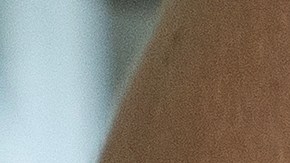 Conoce los alimentos que ayudan a prevenir la pérdida de masa muscular.