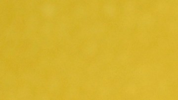 Anna Kendrick compró esta casa en 2012.