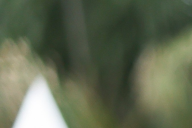 Bella Hadid en el Festival de Cannes 2024.