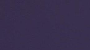 Carolina Sandoval, presentadora de televisión.