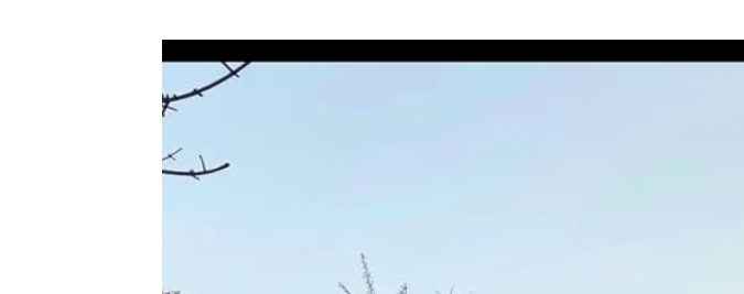 Esta casa de Amazon es ideal para una familia entera. 