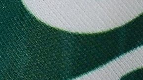 Escudo de Club León.