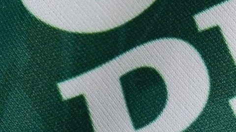 Escudo de Club León.