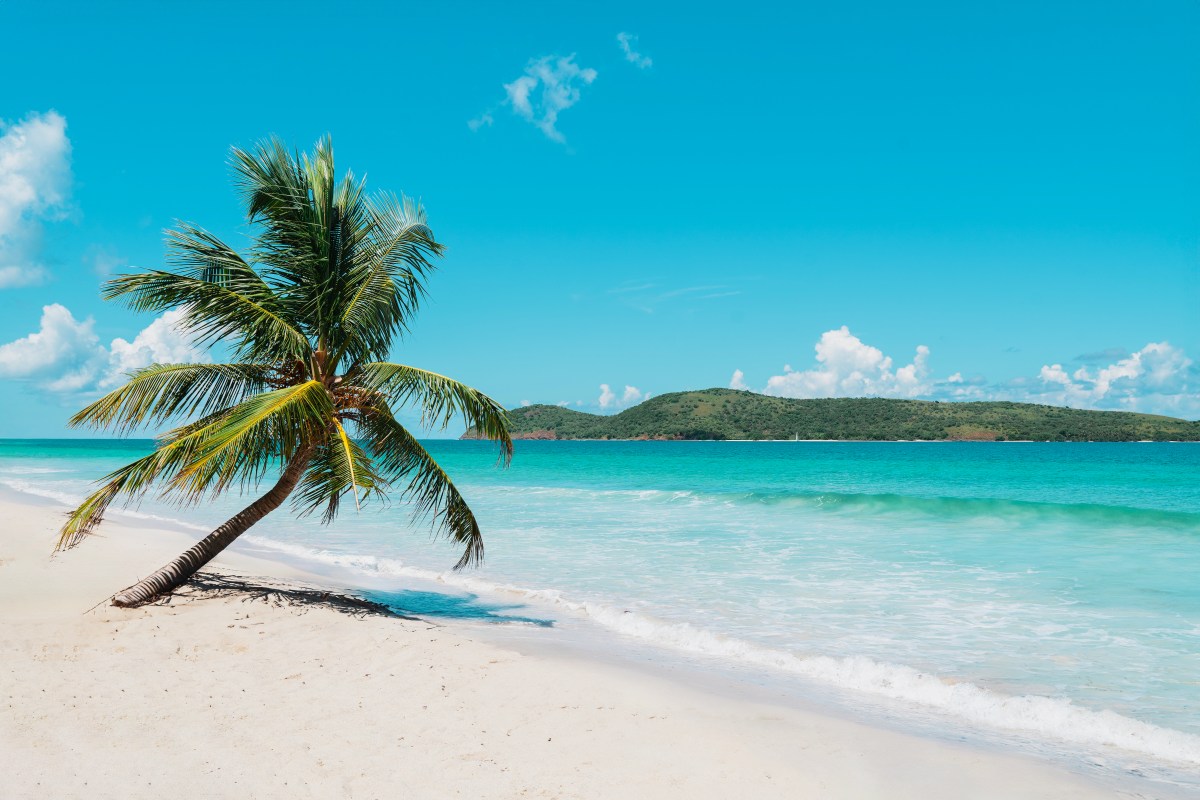 Discover Puerto Rico lleva los sonidos de la isla a la aplicación 'Calm'