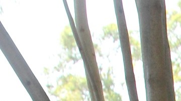Cynthia Klitbo.