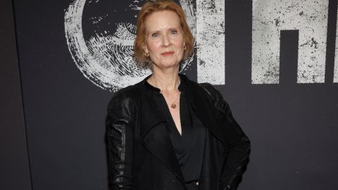 Cynthia Nixon recibió muchos comentarios sobre su cocina.