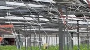 Los agentes del FBI y funcionarios de aduanas en conjunto con el sheriff del condado de Wayne ayudaron a la DEA con la investigación.