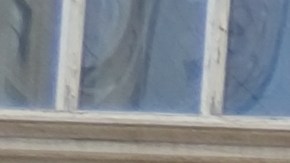 Miembros de Los Deliveristas Unidos, del Proyecto de Justicia Laboral y líderes electos tomaron este miércoles la sede de la Alcaldía en el Bajo Manhattan.