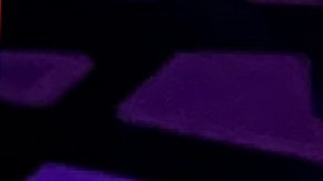 “Una Danza de Pájaros: vuelo, tambores y resistencia” es una crónica reflexiva inspirada en el más reciente concierto del maestro Samuel Torres en el National Sawdust de Brooklyn.