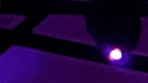 “Una Danza de Pájaros: vuelo, tambores y resistencia” es una crónica reflexiva inspirada en el más reciente concierto del maestro Samuel Torres en el National Sawdust de Brooklyn.