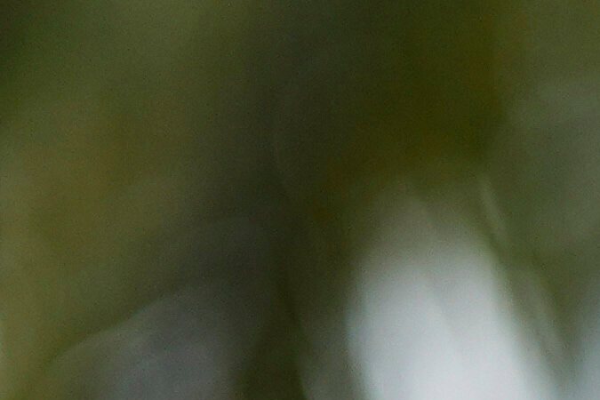 Denzel Washington asistió a Cannes para la premier mundial de su nueva película, Highest 2 Lowest junto con el director Spike Lee.