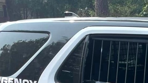 Los oficiales de Houston encontraron a la víctima sobre un vehículo con impactos de bala.