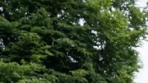 Dominic McLaughlin (Harry Potter), Arabella Stanton (Hermione Granger) y Alastair Stout (Ron Weasley).