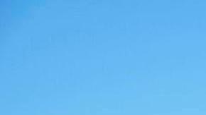 Camiones con alimento y medicamentos llegaron a Gaza.