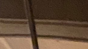 The Empire State Local News Coalition is a nonpartisan alliance of more than 200 local newspapers in New York—including the El Diario NY—committed to keeping local reporting alive.