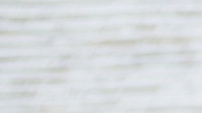 Las ensaladas fueron elaboradas con sujetos a retiro por contaminación con salmonela.