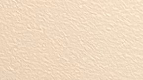 Adrienne Adams: candidata a la Alcaldía de NYC en 2025.