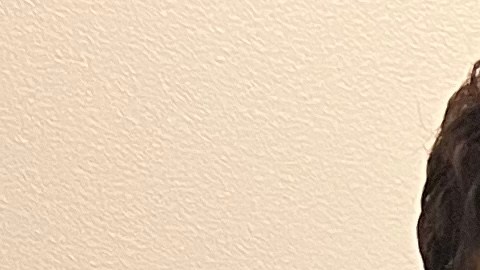 Adrienne Adams: candidata a la Alcaldía de NYC en 2025.