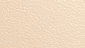 Adrienne Adams, candidata a la Alcaldía de NYC, en entrevista con El Diario NY