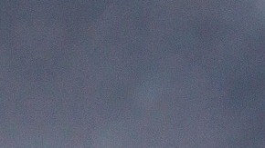 Walmart vende litera inteligente para gatos