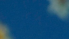 Hailey Bieber fundó la marca Rhode en 2022.