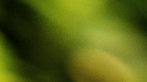 ¿Hay diferencia de sabor entre los huevos del supermercado y de la granja?