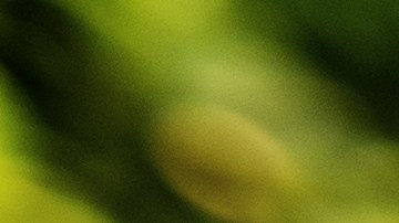 ¿Hay diferencia de sabor entre los huevos del supermercado y de la granja?