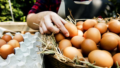 ¿Hay diferencia de sabor entre los huevos del supermercado y de la granja?