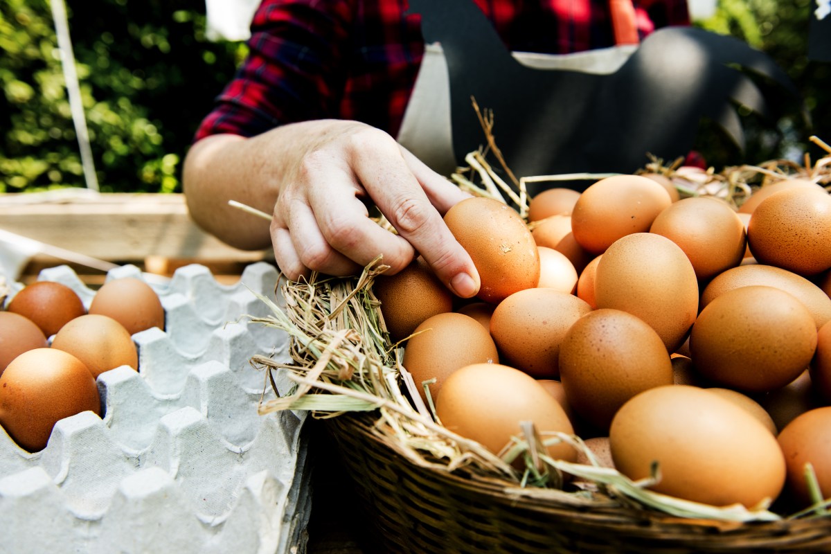 Huevos de tienda vs. de granja: ¿Realmente existe una diferencia de sabor?