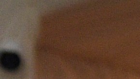 Deborra-Lee Furness y Hugh Jackman estuvieron casados durante 27 años.