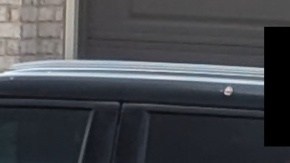 Todos fueron arrestados en Evansville y Bloomington.