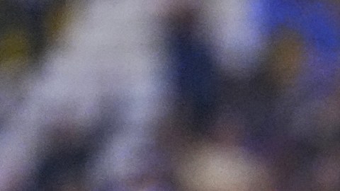 Alejandro Zendejas aspira la conquista del tetracampeonato con el América.