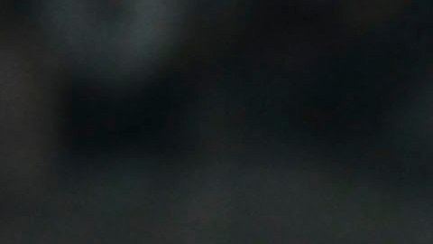 Cruz Azul se enfrentará este jueves contra el Club América en semifinales.