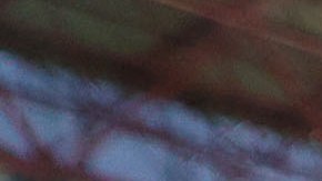 Antonio Mohamed manifiesta su alegría por ganar la Liga MX.