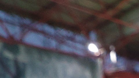 Antonio Mohamed manifiesta su alegría por ganar la Liga MX.