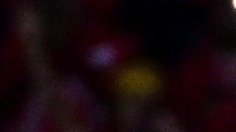 Alexis Vega habla sobre jugar en el Mundial de Clubes.