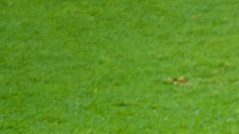La Liga MX implementará cambioa para favorecer a la selección mexicana.