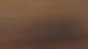 Hay infusiones elaboradas con hierbas que pueden mejorar la forma de procesar la grasa en el cuerpo.