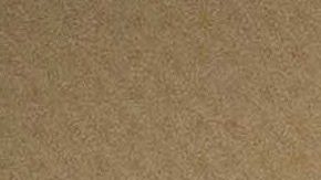 Jannik Sinner y el papa león XIV en el Vaticano.