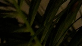 Jennifer López y Ben Affleck compraron la casa en verano del 2023 y vivieron allí hasta su separación.