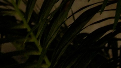 Jennifer López y Ben Affleck compraron la casa en verano del 2023 y vivieron allí hasta su separación.