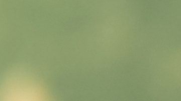 El jugo de arándanos es un diurético natural.