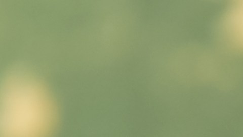 El jugo de arándanos es un diurético natural.